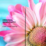 Tempered glass 2,5D Premium for iPhone 16 Pro / 17 / 17 Pro - Image 9