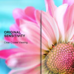 Tempered glass 2,5D Premium for Samsung Galaxy A20e - Image 9